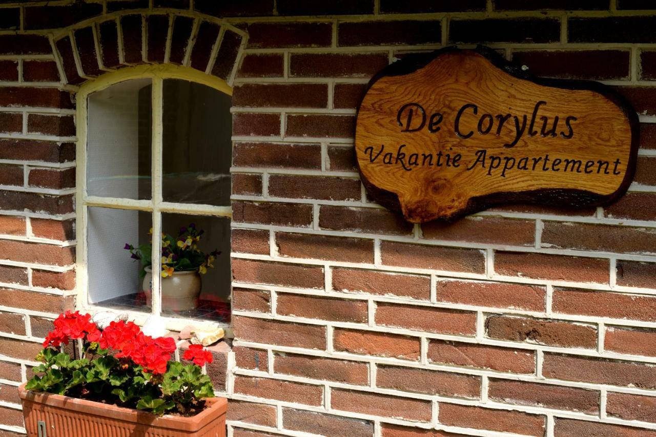 De Corylus Vakantie Appartement Oosterhesselen Exterior photo